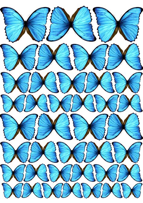 Бабочки для букета распечатать голубые