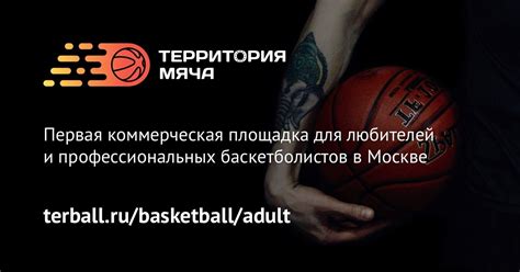 Баскетбол в москве
