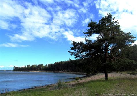 Вода в финском заливе
