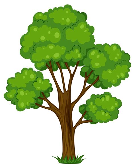 Дерево png
