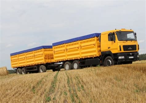Зерновозы перевозка зерна