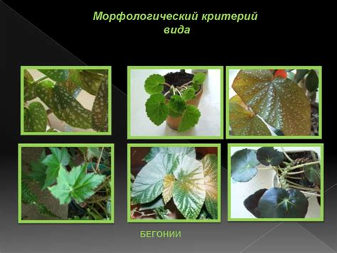 Из курса ботаники вы знаете что для роста зеленой массы растений необходим азот использование какого