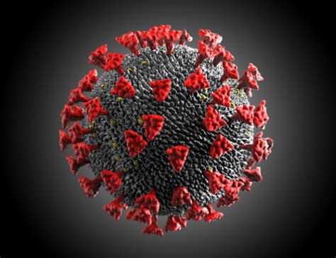 Как выглядит коронавирус