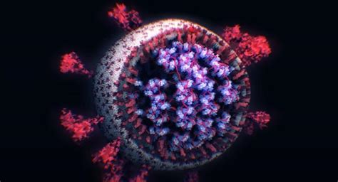Как выглядит коронавирус