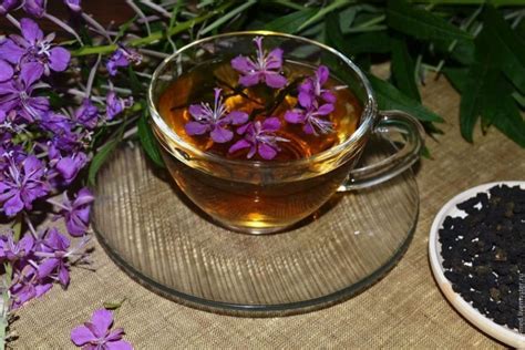 Как делать чай из иван чая в домашних условиях правильно