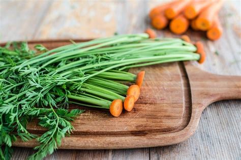 Как использовать морковную ботву в пищу рецепты
