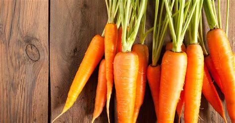 Как использовать морковную ботву в пищу рецепты