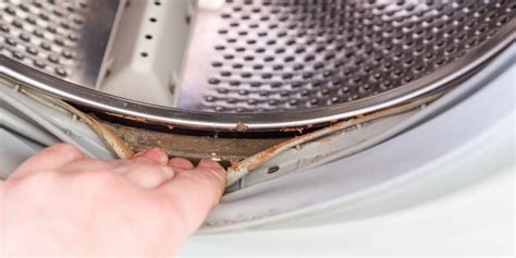 Как очистить резинку в стиральной машине от черной плесени