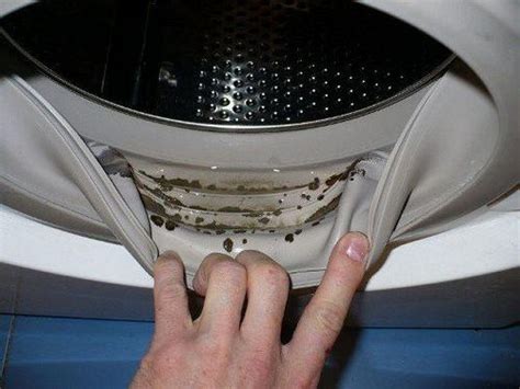 Как очистить резинку в стиральной машине от черной плесени