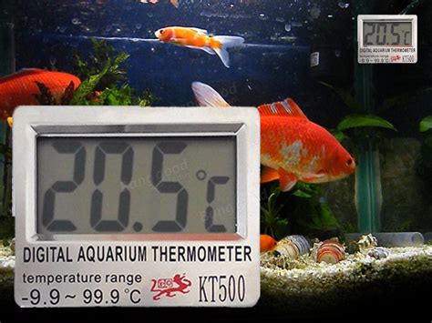 Какая температура должна быть в аквариуме