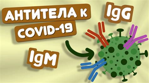 Какие должны быть антитела при коронавирусе после болезни цифры