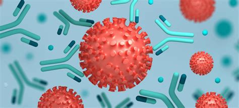 Какие должны быть антитела при коронавирусе после болезни цифры