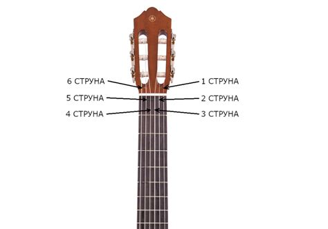Название струн на гитаре