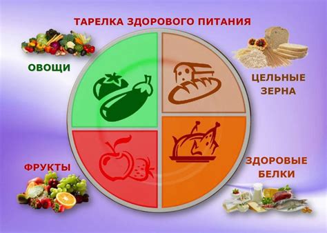 Новосибирский научно исследовательский институт гигиены обучение основы здорового питания