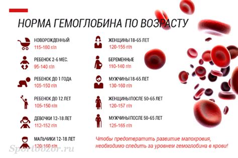 Норма гемоглобина у женщин после 50 в крови