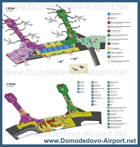 План аэропорта домодедово