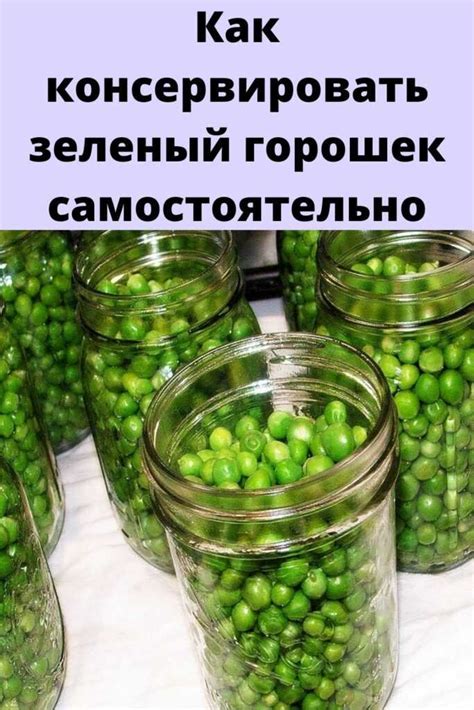 Рецепт консервирования зеленого горошка на зиму в домашних
