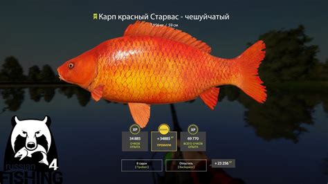 Русская рыбалка 4 где клюет вконтакте