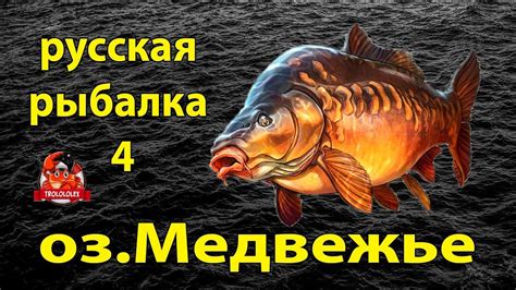 Русская рыбалка 4 где клюет вконтакте