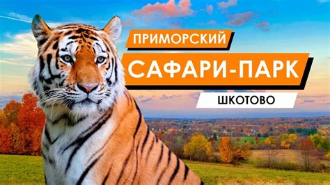 Сафари парк владивосток официальный сайт