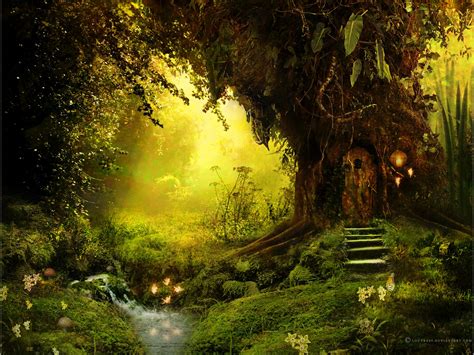 Сказочный лес анапа