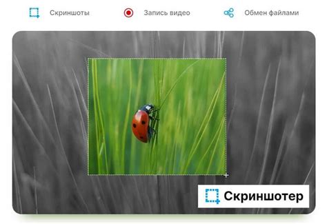 Скачать скриншотер бесплатно на русском