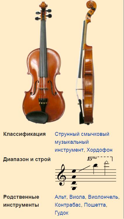 Сколько струн у скрипки