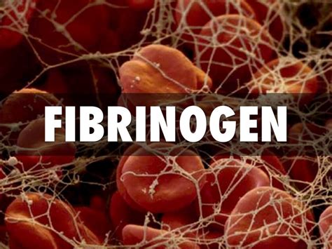 Что такое фибриноген