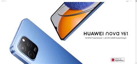 Huawei y61