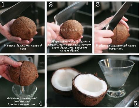 Как открывать кокос