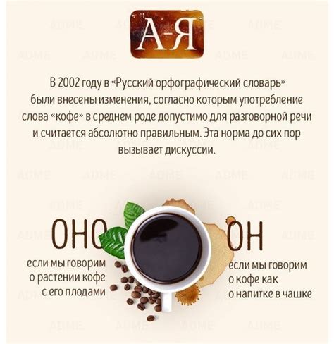 Какой род у слова кофе