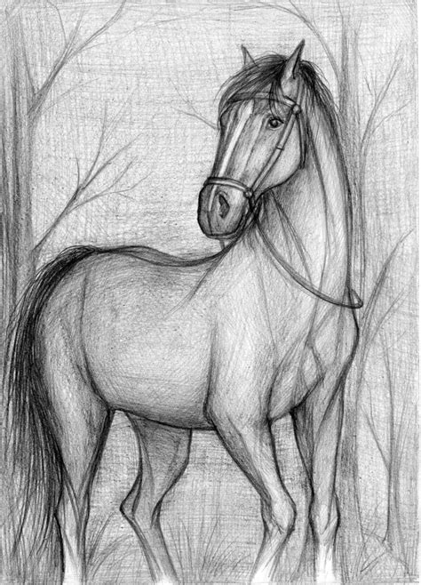 Рисунок лошади карандашом