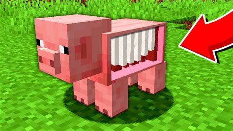 Чем кормить свиней в майнкрафте